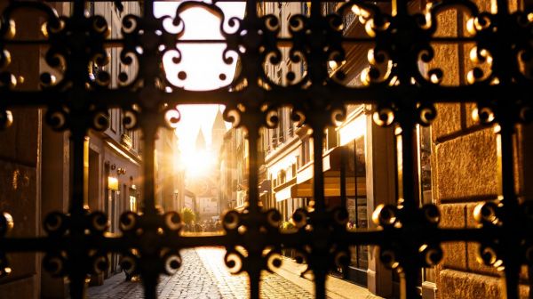 Découvrez les meilleurs photographes pour vos événements à Lyon